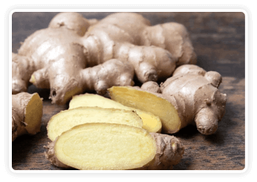 Ginger Root Extract ingredient Citrus Burn