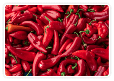 Red Pepper Extract ingredient Citrus Burn